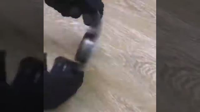 Лайфхаки. Насадки для болгарки. смотреть онлайн