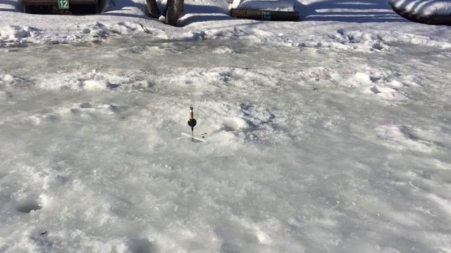 Ловля форели со льда. РК Фишка Липки. 19.03.23г. смотреть онлайн