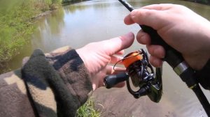 Первый тест CRAZY FISH ARION ASRE762LS + SHIMANO STRADIC CI4+C2500S