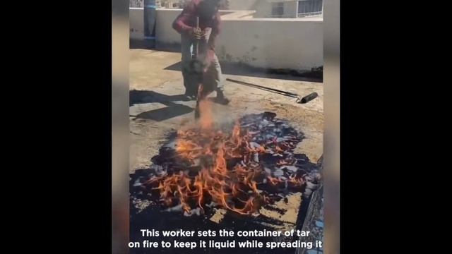 Интересные Видео Сотрудников Идеально Выполняющих Свою Работу