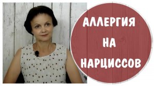 Аллергия на нарциссов * Нарциссы и психосоматика