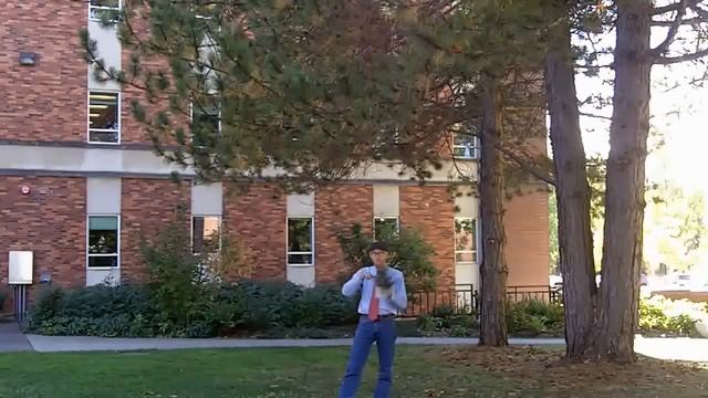 Austrian pine (Pinus nigra) - Plant Identification смотреть онлайн