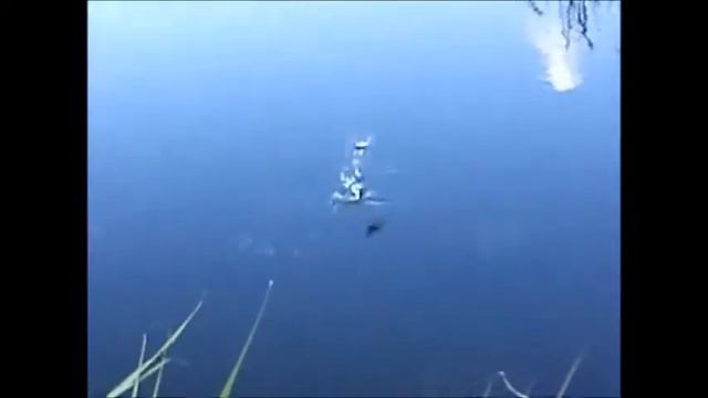 Шоу на рыбалке смотреть онлайн