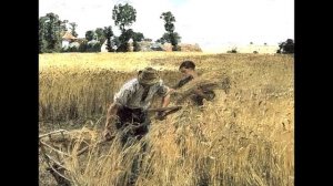 Песня косаря