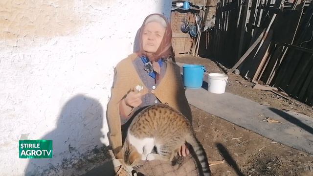 Vă interesează Au înflorit ghioceii! 07 02 2024 смотреть онлайн