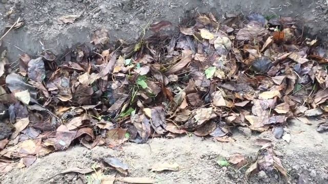 Подготовка теплицы к следующему сезону смотреть онлайн