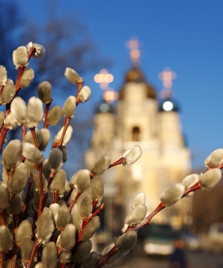 Вербное воскресенье картина