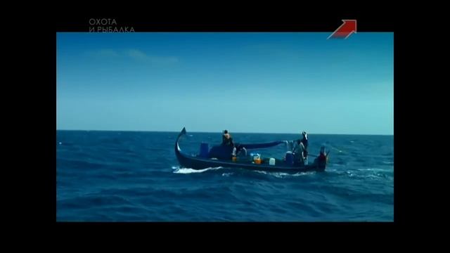 Мальдивские острова! Сафари тур на Яхте Мальдивиана