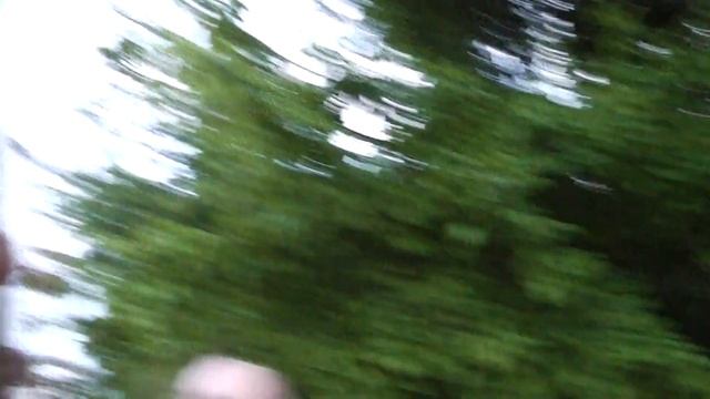 хит=хоровод-у истока томимых вод=пророк самбой с фанатами на самбойфесте смотреть онлайн