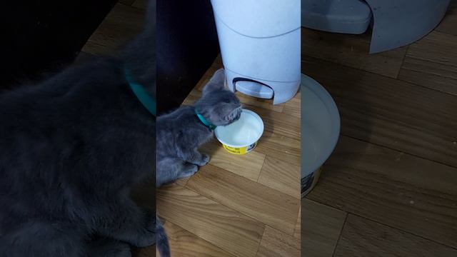 Мы очень любим кефир.