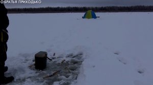 ЗИМНЯЯ РЫБАЛКА НА ЯЗЯ И ХАРИУСА