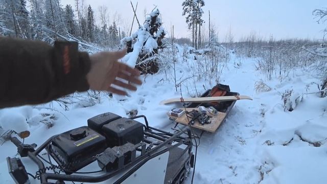 ПРОЕКТ! ПУРГА В Ш--КЕ ОТ НОВОЙ СОБАКИ! смотреть онлайн
