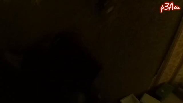 LED лампа для гидропоники смотреть онлайн