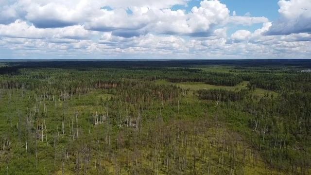 Национальный парк  Мещёра