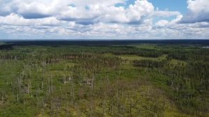 Национальный парк  Мещёра