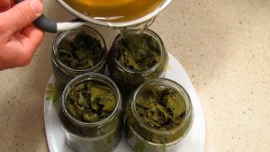 Заготовка виноградных листьев на зиму (для долмы) | Pickled Grape Leaves