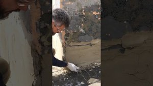 Заделка трещин на свежей известковой штукатурке.