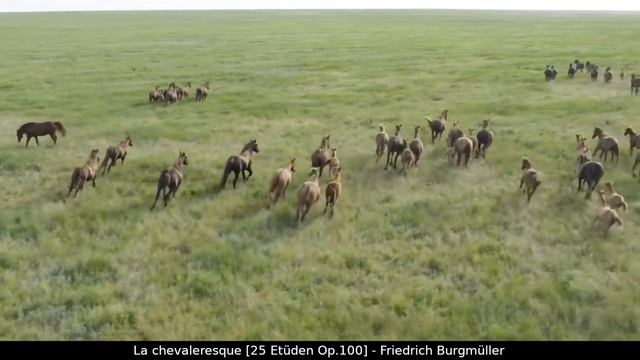 La chevaleresque 25 Etüden Op100 Burgmüller CASIO Piano PX770 PX780 PX870 AP270 AP470 AP650 Timbre смотреть онлайн