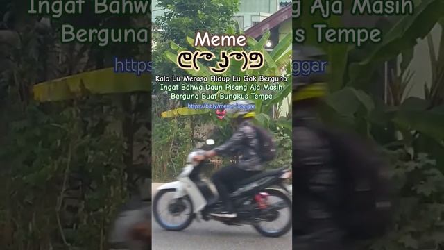 Meme Kalo Lu Merasa Hidup Lu Gak Berguna, Ingat Daun Pisang Aja Masih Berguna Untuk Bungkus Tempe