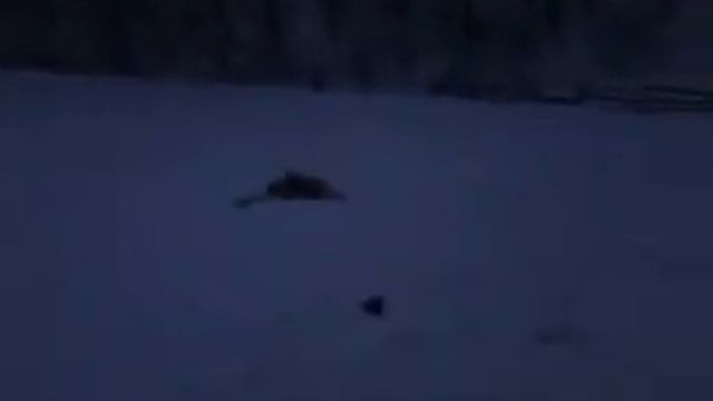 Санки Fail смотреть онлайн