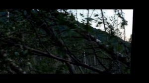 Коп, поиск монет. Бабиновский тракт.Часть 1