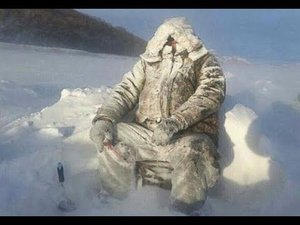 Зимний жор окуня.