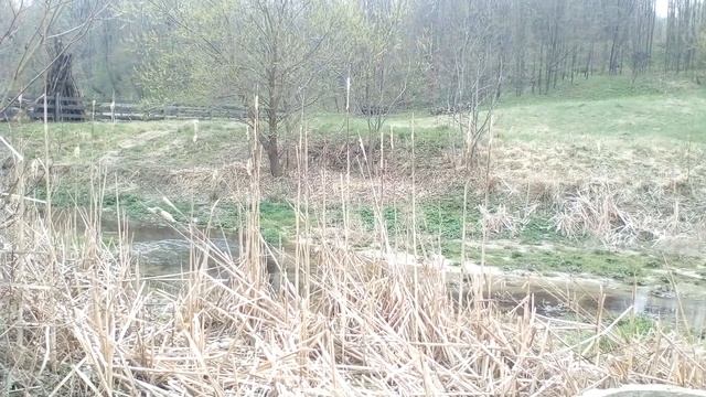 Христианские стихи с очень глубоким смыслом.