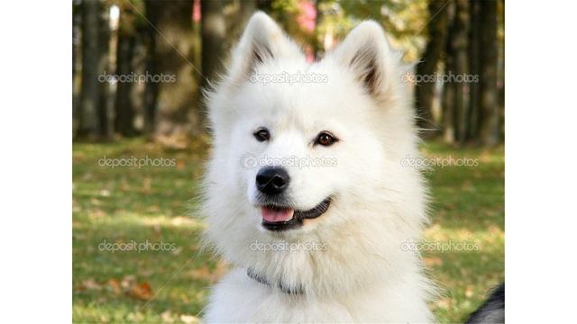 Fujifilm FinePix S5700 смотреть онлайн