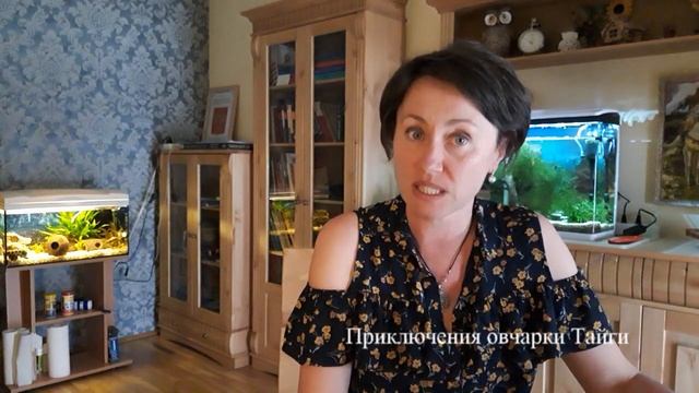 Что делать после укусов насекомых? Как быстро снять отек и зуд после укуса насекомых?