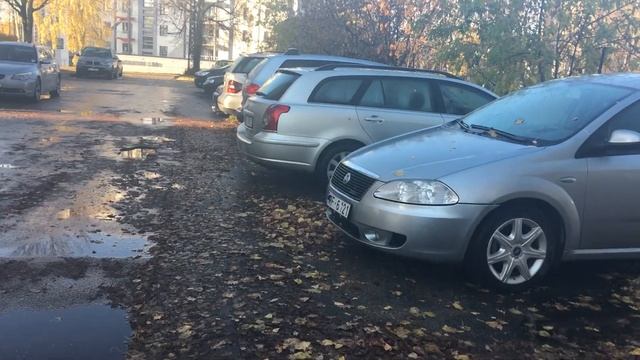 ВЛОГ#96: котята, поездка в Литву и творческий процесс смотреть онлайн