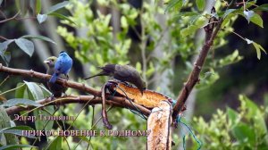 ПРИКОСНОВЕНИЕ К РОДНОМУ*