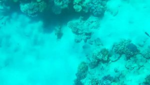 Шарм эль шейх сегодня! Море 1.07.2020!