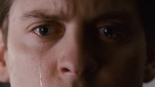 LOVELY || SAD VIDEO SPIDERMAN ENEMY IN REFLECTION || ГРУСТНОЕ ВИДЕО ЧЕЛОВЕК ПАУК ВРАГ В ОТРАЖЕНИИ смотреть онлайн