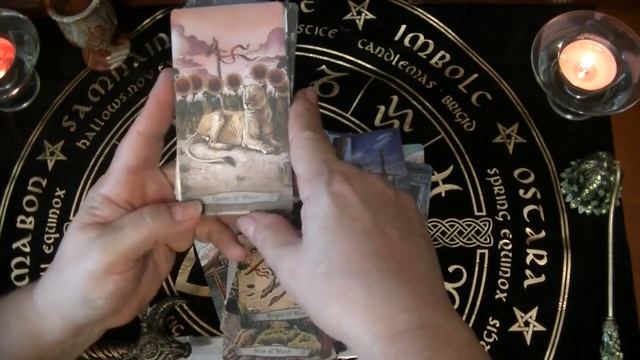 Колода Таро тотемных животных  Обзор арканов. Диагностика. Какие достижения будут в ближайшее время