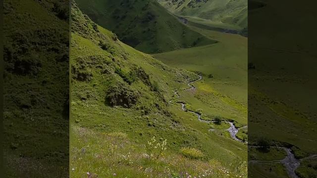 Та самая высота откуда видно  Грузия  . (Дидоэтия, Асах) . цунтинский район.