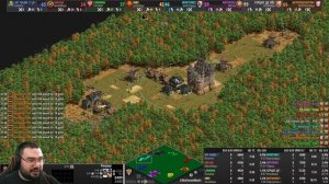 ВСЯ КАРТА ЭТО ЛЕС В РЕЖИМЕ Х256. Age of Empires II DE