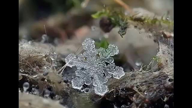 Вы ЛЮБИТЕ Всегда Друг Друга смотреть онлайн