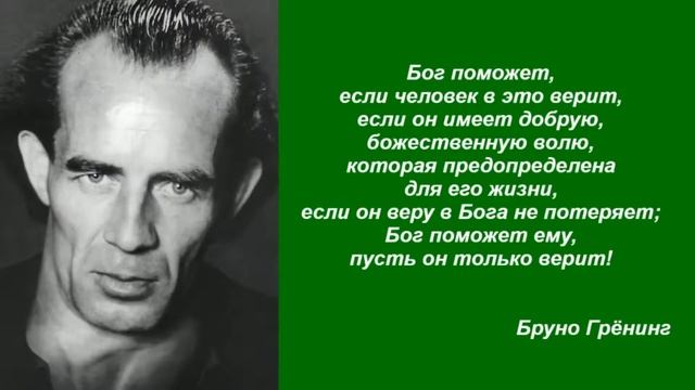 Цитаты высказывания Бруно Грёнинга.