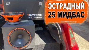 Панч-машина для твоего тыла! DL Audio Gryphon Pro 250 Midbass