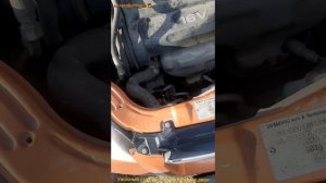 ужасный стук и грохот на шеврале авео двс F14D3  F16D3 (кто подскажет что стучит?)