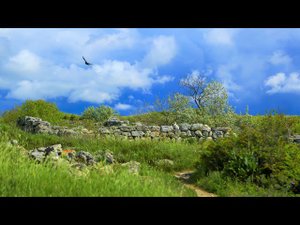 Крым – Место Силы