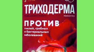 Триходерма. Не мучайтесь с размножением. Посмотрите.