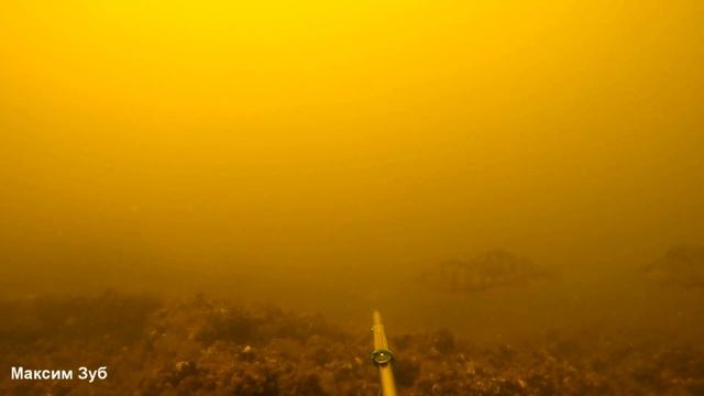 Такой хороший прозрак что рыбу не видно.Подводная охота в лежку. смотреть онлайн