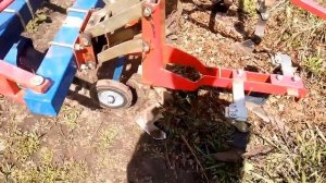Культивация клубники минитрактором Ловол244