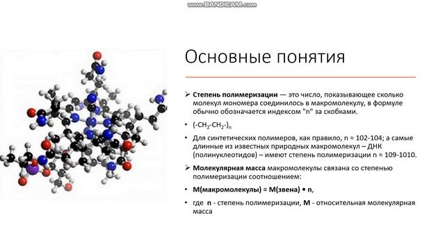 11 класс Полимеры Свойства полимеров Физические состояния полимеров Применение полимеров