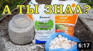 КАК и ЧЕМ раскислять грунт? Подбираем растения к почвам