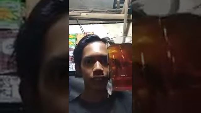 video lucu wa,ngeteh asu anjinge😂😂😂