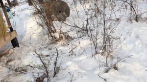 Обзор зимнего Сафари-Тента: Палатка для Глэмпинга.