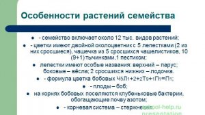 Презентация Бобовые растения