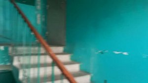 Лифт МЛЗ с МП на 9 этаже, г/п 320 кг, V=0,71 м/с (ул. Синенко, 65А, подъезд 3, г. Запорожье)